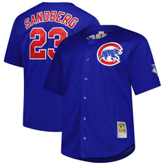 Ryne Sandberg Chicago Cubs Mitchell & Ness Big & Tall Cooperstown Mesh Batting Practice Jersey Online