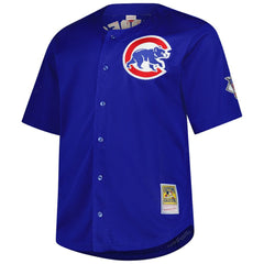 Ryne Sandberg Chicago Cubs Mitchell & Ness Big & Tall Cooperstown Mesh Batting Practice Jersey Online