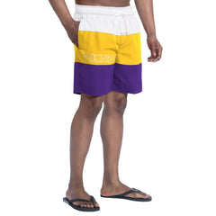 Minnesota Vikings G-III Sports by Carl Banks Sunrise Volley Swim Shorts Purple/Gold - NFL