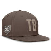 Tampa Bay Rays Nike True Statement 20th AnniversaryPerformance Fitted Hat Sale