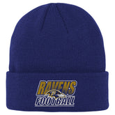 Baltimore Ravens Outerstuff Youth Team Gradient Cuffed Knit Hat Purple - NFL