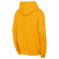 Nashville Predators - Outerstuff Youth Back to Basics Hoodie Gold