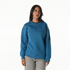 Carolina Panthers The Wild Collective Unisex Fleece Sweatshirt Blue - NFL