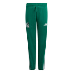 Adidas Mexico National Team Youth FIFA x World Cup Alphaskin Pants - Green