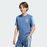 Adidas Argentina National Team Youth FIFA x World Cup Alphaskin T-Shirts - Blue