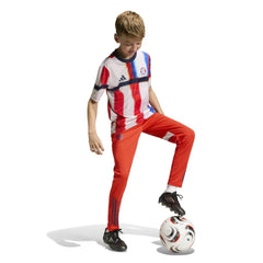 Adidas Bayern Munich Youth 2025/26 Pre-Match Training Jerseys - Navy