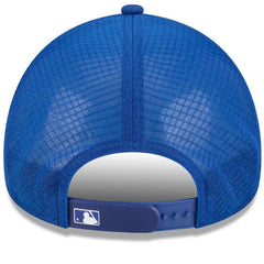 New York Mets New Era 2026 Batting Practice Alternate Apex 9FORTY Adjustable Hat Sale