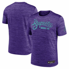 Arizona Diamondbacks Nike Authentic Collection City Connect Velocity Dri-FIT T-Shirt Online