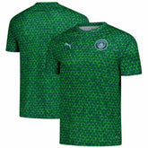 Puma Manchester City 2025/26 Pre-Match Training Jerseys - Green