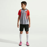 Nike Chelsea Youth 2025/26 Academy Pro Pre-Match Top - Gray