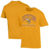 Minnesota Vikings Champion Football T-Shirt Gold - NFL