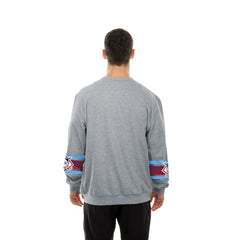 Philadelphia Phillies New Era Sport Classics Sweatshirt for sale