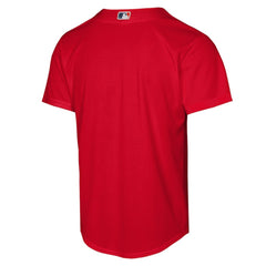 Boston Red Sox Nike Youth Alternate Replica Jersey Lifestyle