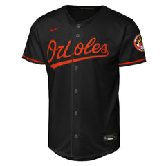 Baltimore Orioles Nike Youth Alternate Stadium Jersey Lifestyle