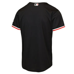 Minnesota Twins Nike Youth Alternate 2 Stadium Jersey On Sale