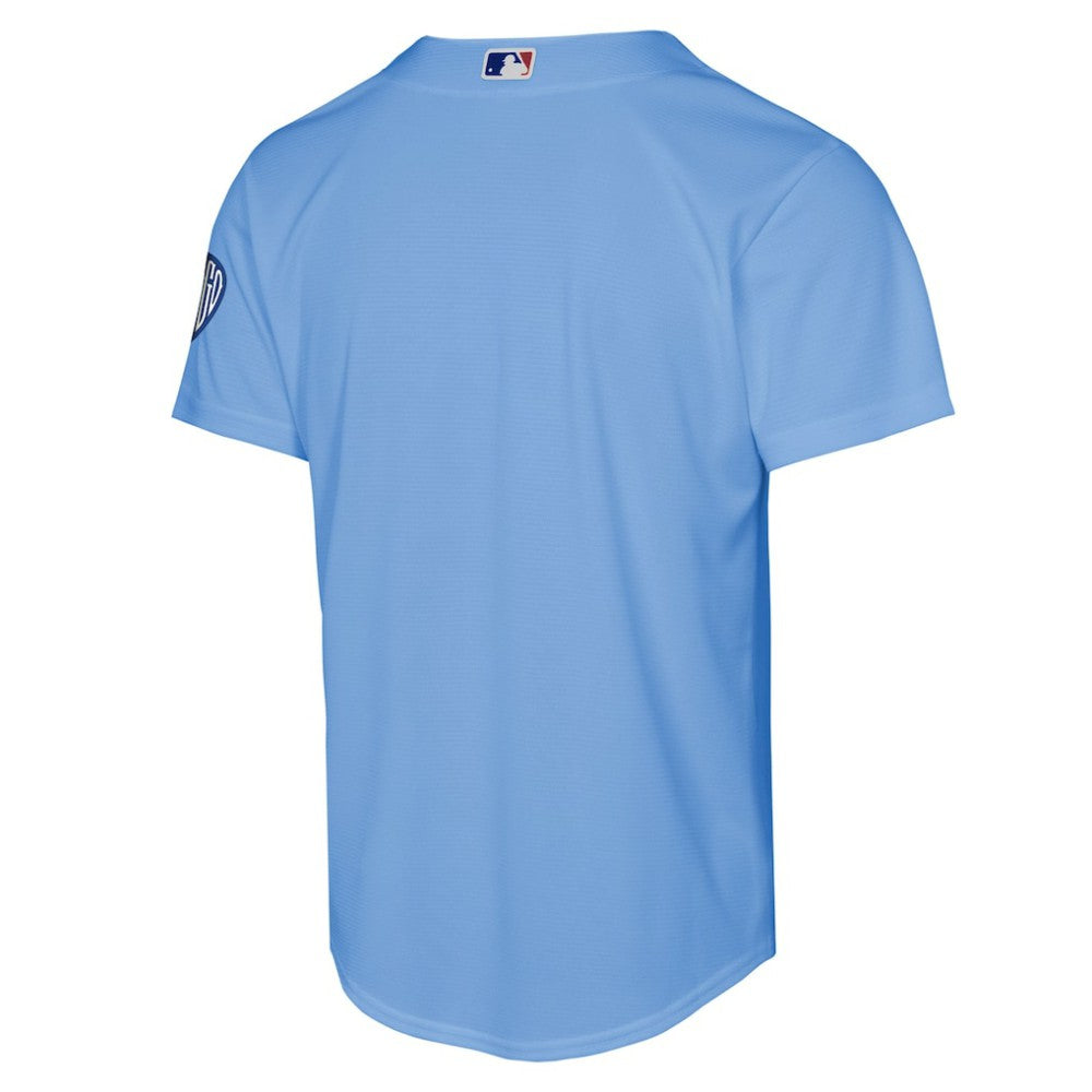 Chicago Cubs Nike Youth Alternate 2 Stadium Jersey - Light Blue | MLB Jerseys