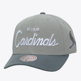 St. Louis Cardinals Mitchell & Ness Thunderstorm Head Coach Pro-Crown Adjustable Hat discount
