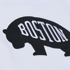 Boston Bruins Mitchell & Ness Arctic Fleece Hoodie White