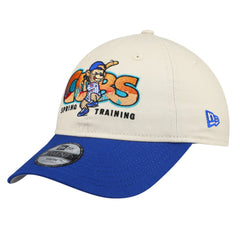 Chicago Cubs New Era Youth 2026 Spring Training Fan Pack Batter 9TWENTY Adjustable Hat On Sale
