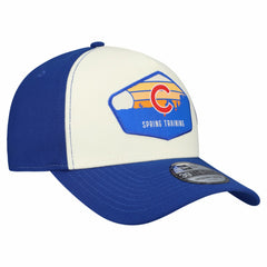 Chicago Cubs New Era 2026 Spring Training Fan Pack Gradient 39THIRTY Flex Hat Online