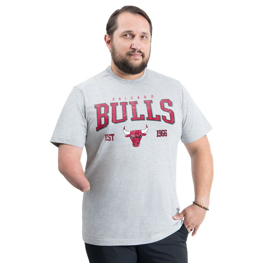 NBA - Chicago Bulls G-III Sports by Carl Banks Adaptive Classic Team Spirit Short Sleeve T-Shirt - Gray