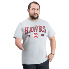 NBA - Atlanta Hawks G-III Sports by Carl Banks Adaptive Classic Team Spirit Short Sleeve T-Shirt - Gray