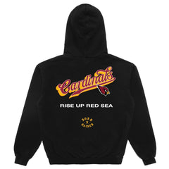 Arizona Cardinals Born x Raised Unisex Pro Script Hoodie Black - NFL