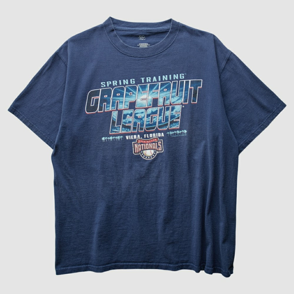 Washington Nationals 2000s T-Shirt Lifestyle