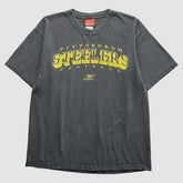 Pittsburgh Steelers Reebok 2000s T-Shirt Gray Vintage - Fanatics