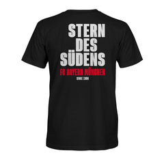 Bayern Munich 1863FC True To Glory Heavyweight T-Shirts - Black
