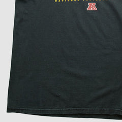 Pittsburgh Steelers NFL 2000s Long Sleeve T-shirt Black Vintage - Fanatics