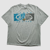 Jacksonville Jaguars Lee Apparel 2000s T-shirt Heather Gray Vintage - Fanatics