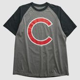 Chicago Cubs 2010s T-shirt Lifestyle