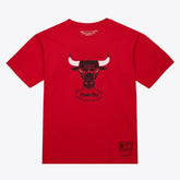 Mitchell & Ness - Chicago Bulls Unisex Hardwood Classics Arch T-Shirt - Red