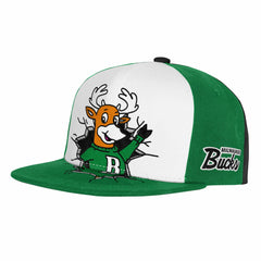 Mitchell & Ness - Milwaukee Bucks Youth Mascot Snapback Hat - Green