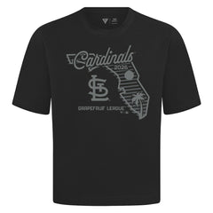 St. Louis Cardinals Levelwear Sunrise Luxe Signature Knit T-Shirt Sale