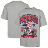 New England Patriots '47 Regional Foundation T-Shirt Gray - 47 brand