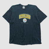 Pittsburgh Steelers NFL 2010s T-shirt Black Vintage - Fanatics
