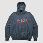 Atlanta Falcons NFL 2000s Hooded Pullover Sweatshirt Black Vintage - Fanatics