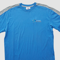 Detroit Lions NFL 2000s T-shirt Blue Vintage - Fanatics