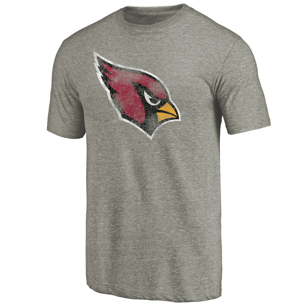 Arizona Cardinals Distressed Team T-Shirt Ash - NFL