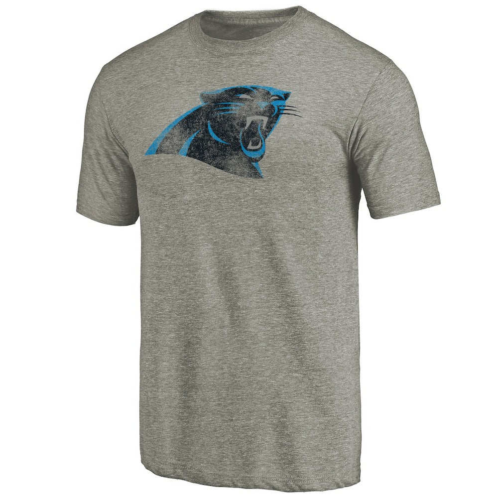 Carolina Panthers Distressed Team T-Shirt Ash - NFL