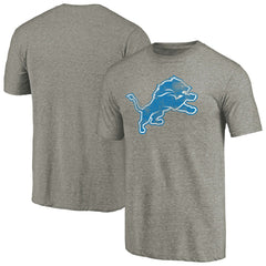 Detroit Lions Distressed Team T-Shirt Ash - NFL