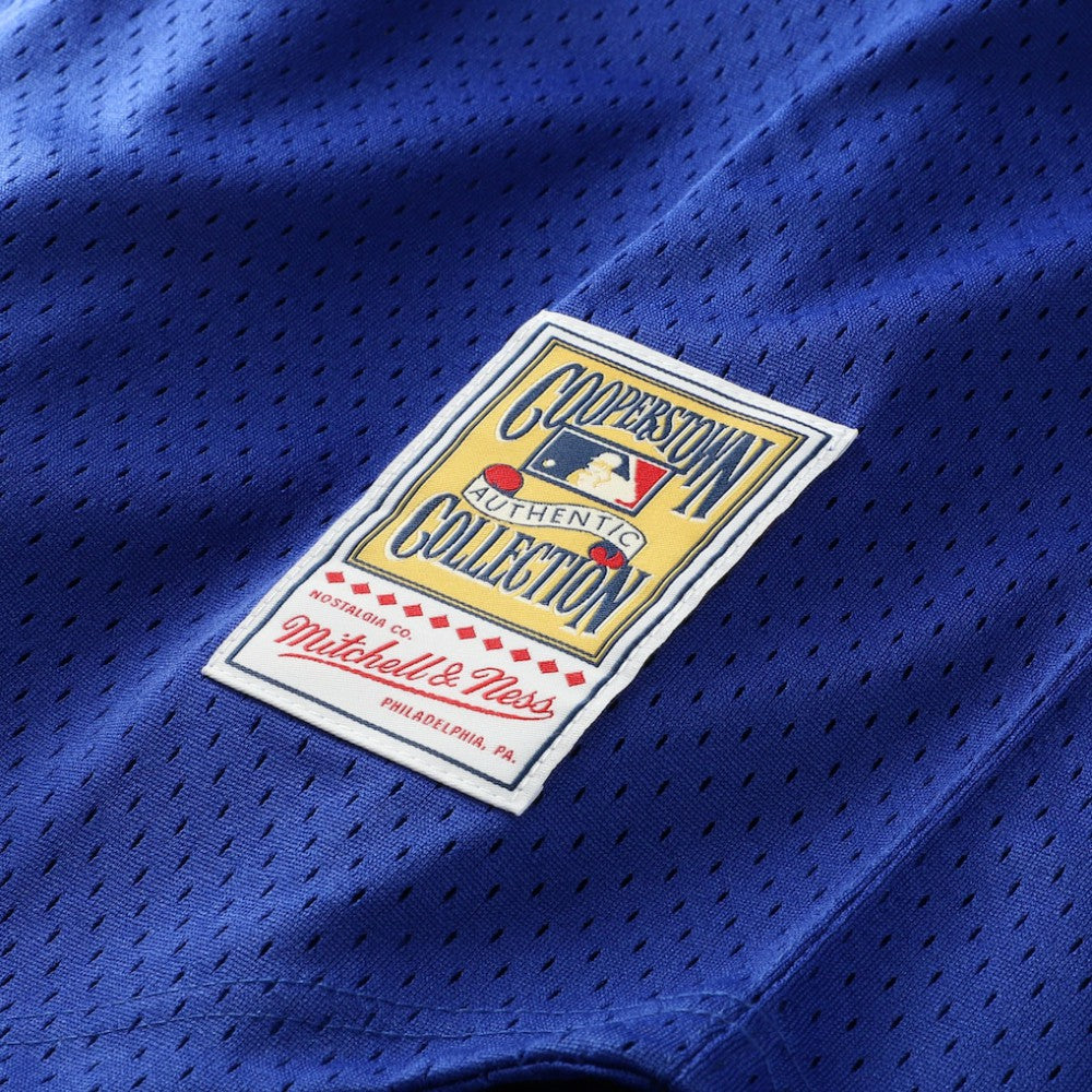 Bo Jackson Kansas City Royals Mitchell & Ness Cooperstown Collection Big & Tall Mesh Batting Practice Jersey - Royal | MLB Jerseys