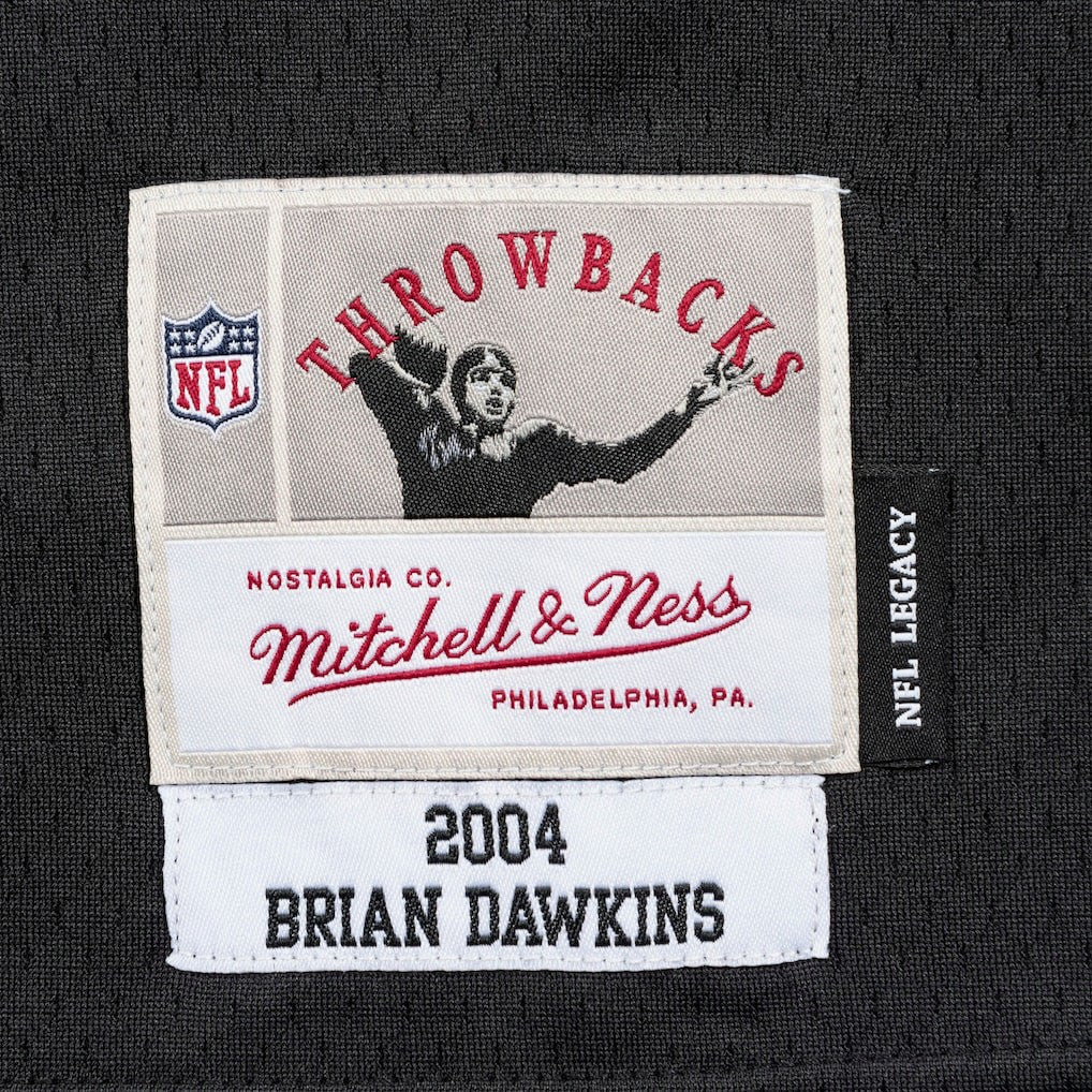 Brian Dawkins Philadelphia Eagles Legacy Replica Jersey - Black on sale | NFL Jerseys