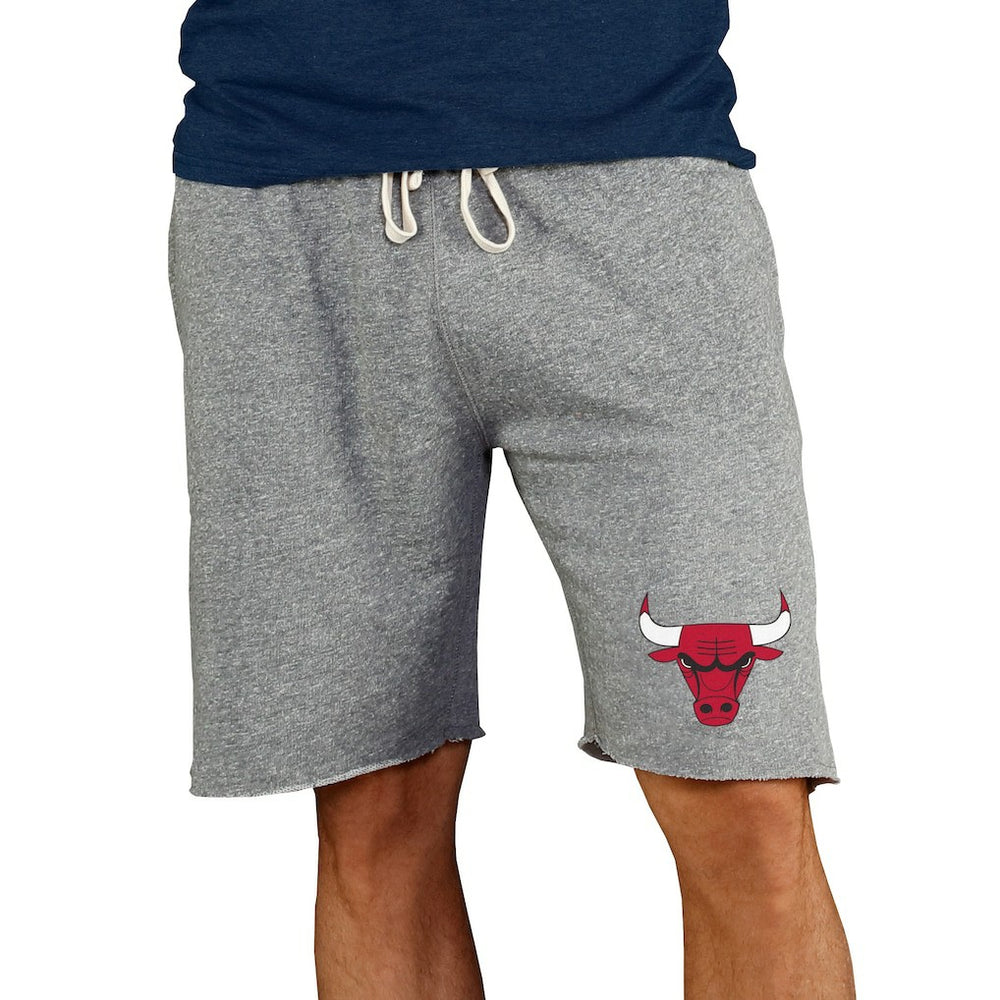 NBA - Chicago Bulls Concepts Sport Mainstream Terry Shorts - Gray