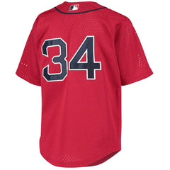 David Ortiz Boston Red Sox Mitchell & Ness Youth Cooperstown Collection Batting Practice Jersey Online