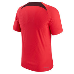 Nike Liverpool Advance Strike Raglan Performance Top - Red