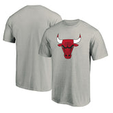 NBA - Chicago Bulls Primary Mascot Logo T-Shirt - Heathered Gray