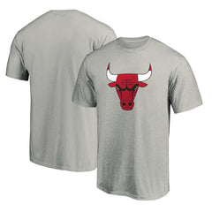NBA - Chicago Bulls Primary Mascot Logo T-Shirt - Heathered Gray